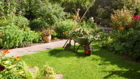 Bild: Ein gepflegter Garten