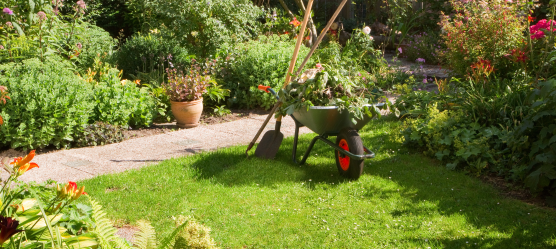 Bild: Ein gepflegter Garten