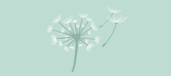 Pusteblume