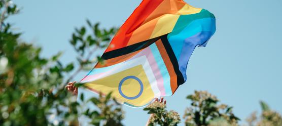 Die lgbtqia+ Fahne weht im Wind